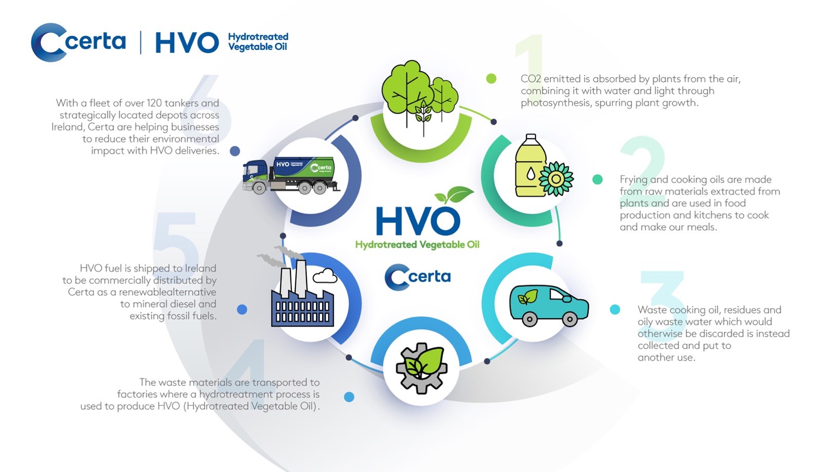 HVO: How is it Made?